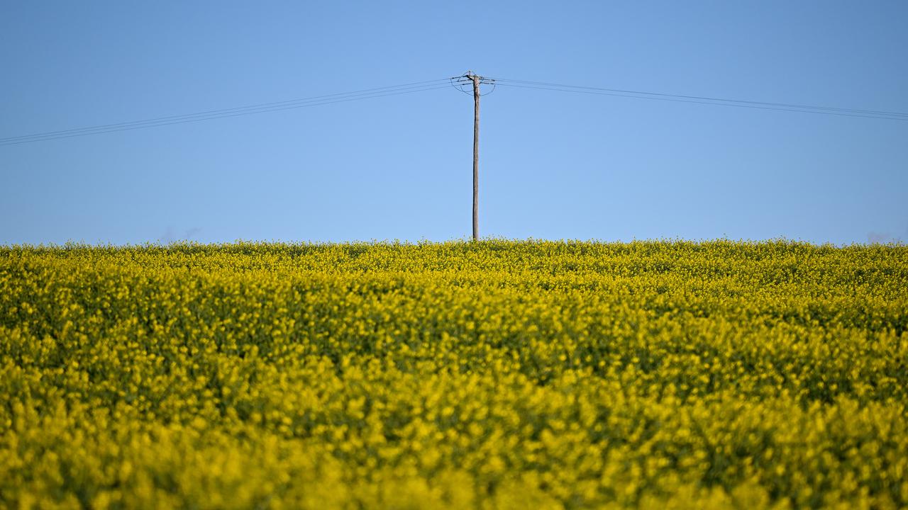 Landcare Australia supports the country from coast to outback.