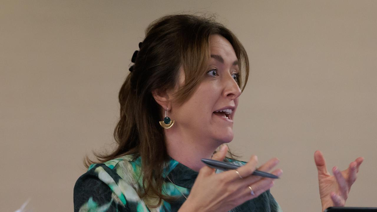 Committee chair, Greens senator Steph Hodgins-May