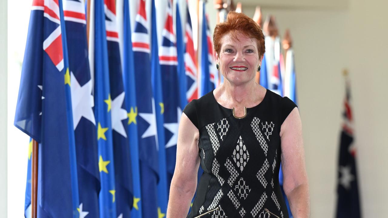 One Nation Senator Pauline Hanson (file image)