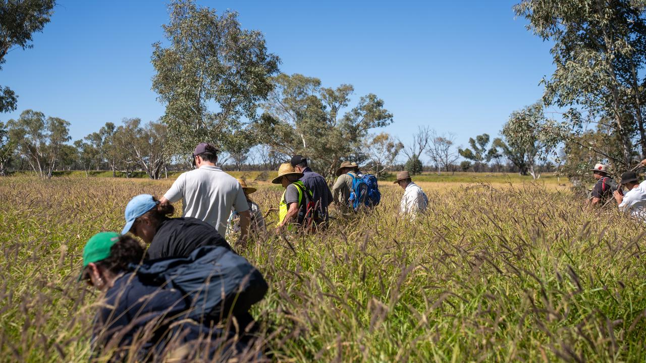 The search for a five-year-old girl