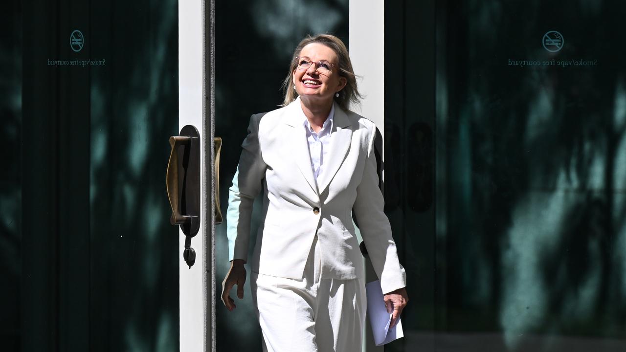 Sussan Ley at Parliament House