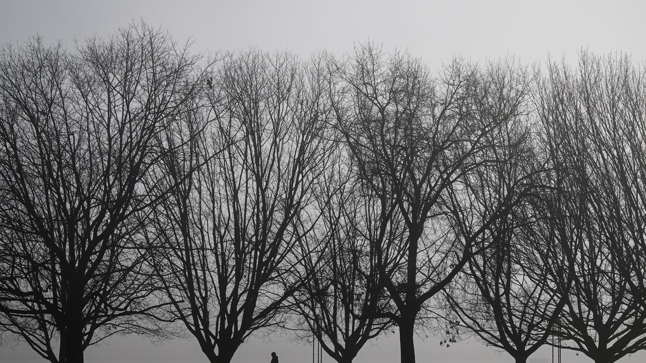 snow