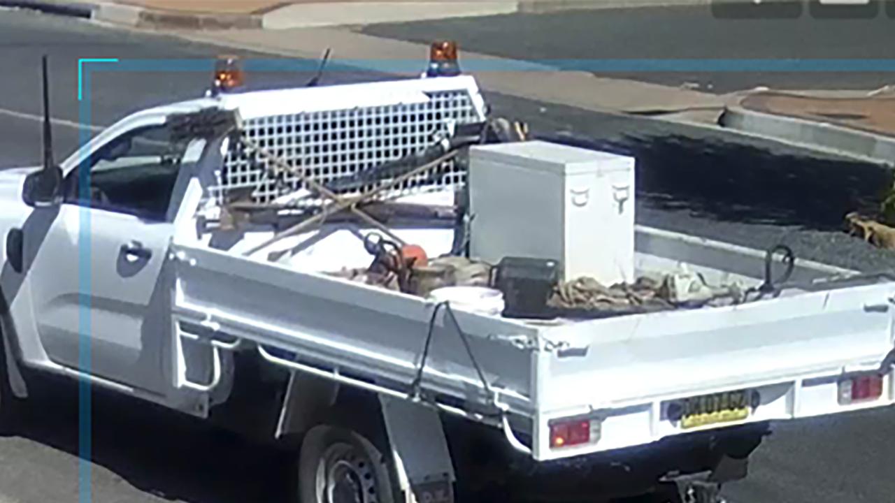 White ute