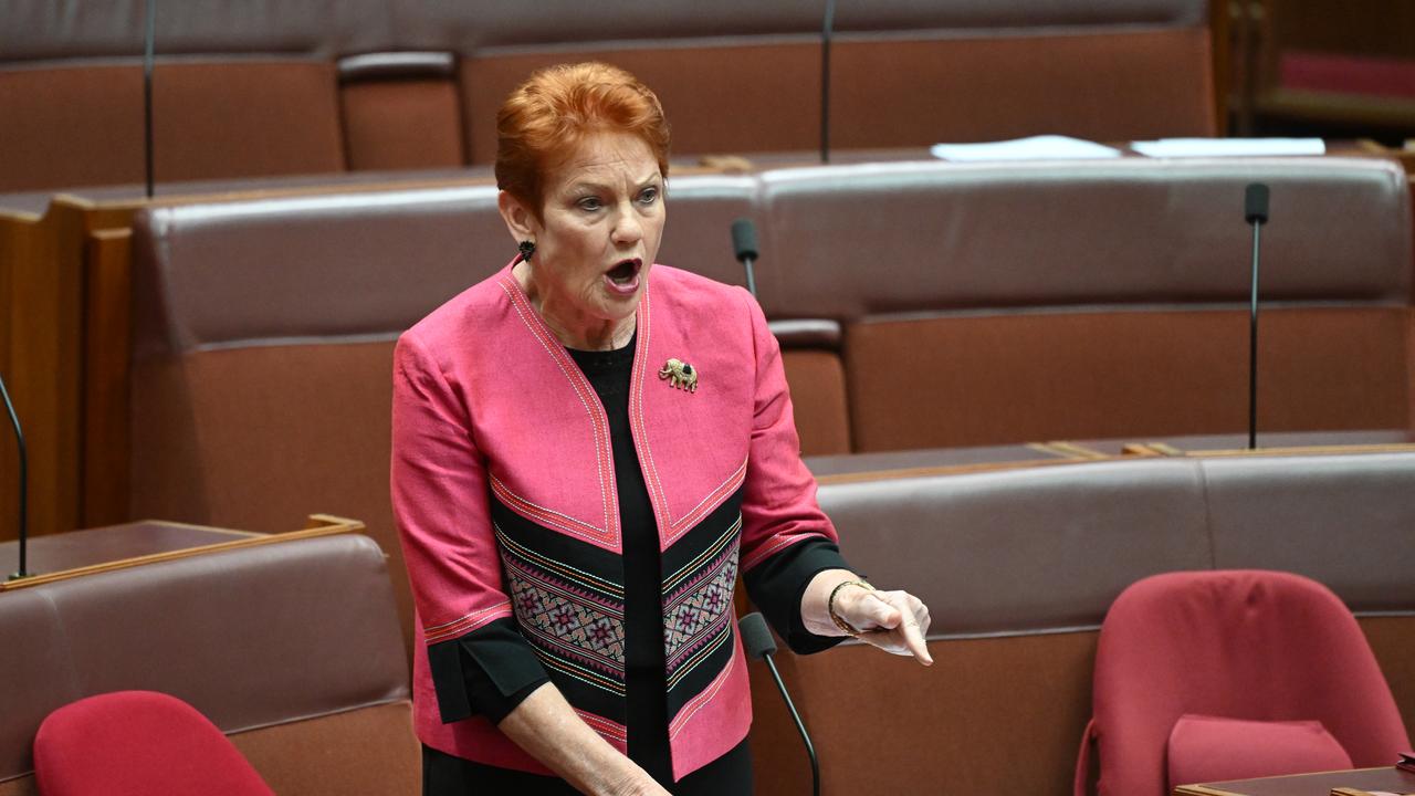 One Nation Senator Pauline Hanson