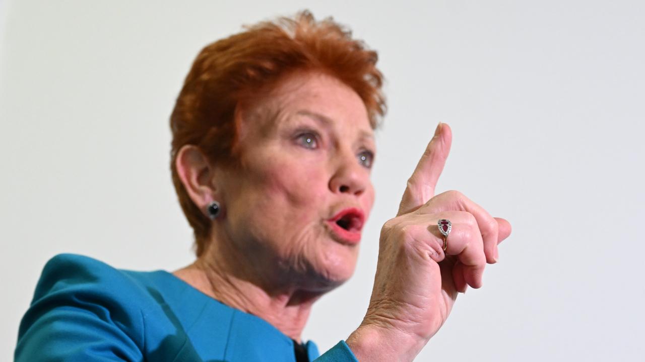 One Nation leader Pauline Hanson