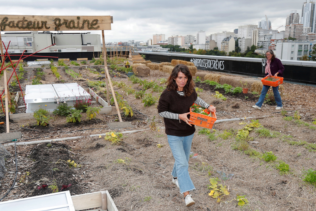 Post office workers grow vegetables, breed chickens on